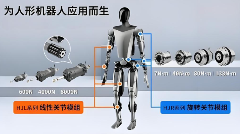 人形机器人关节驱动电机部位展示图