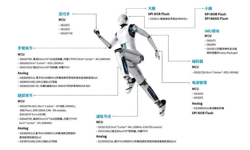 人形机器人关节分布图