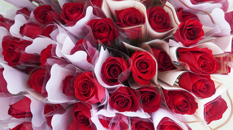 致敬女性力量：做不被定义的“她”！